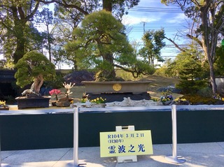 1519981792821.jpg