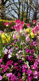 20190409_133725.jpg