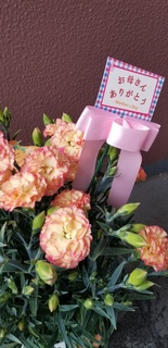 20190513_081306.jpg