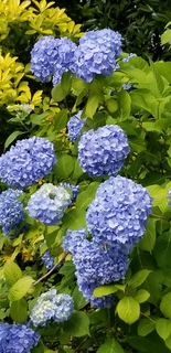 20190611_144726.jpg
