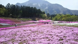 ADE45320-45AB-4AA9-B05D-A81F5C270D7A.jpeg