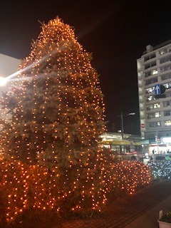 IMG_2798.jpg