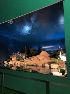 IMG_2914.jpg