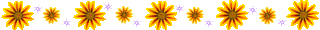 gazania-line.gif