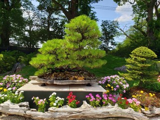 line_400091630549953.jpg