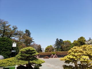 line_668745266614102.jpg