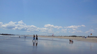 2010082811380000.jpg
