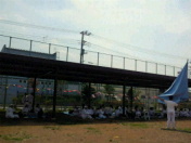 2013060502.jpg